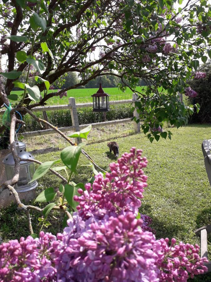 Les Trois Bergers Hotel Serley ภายนอก รูปภาพ